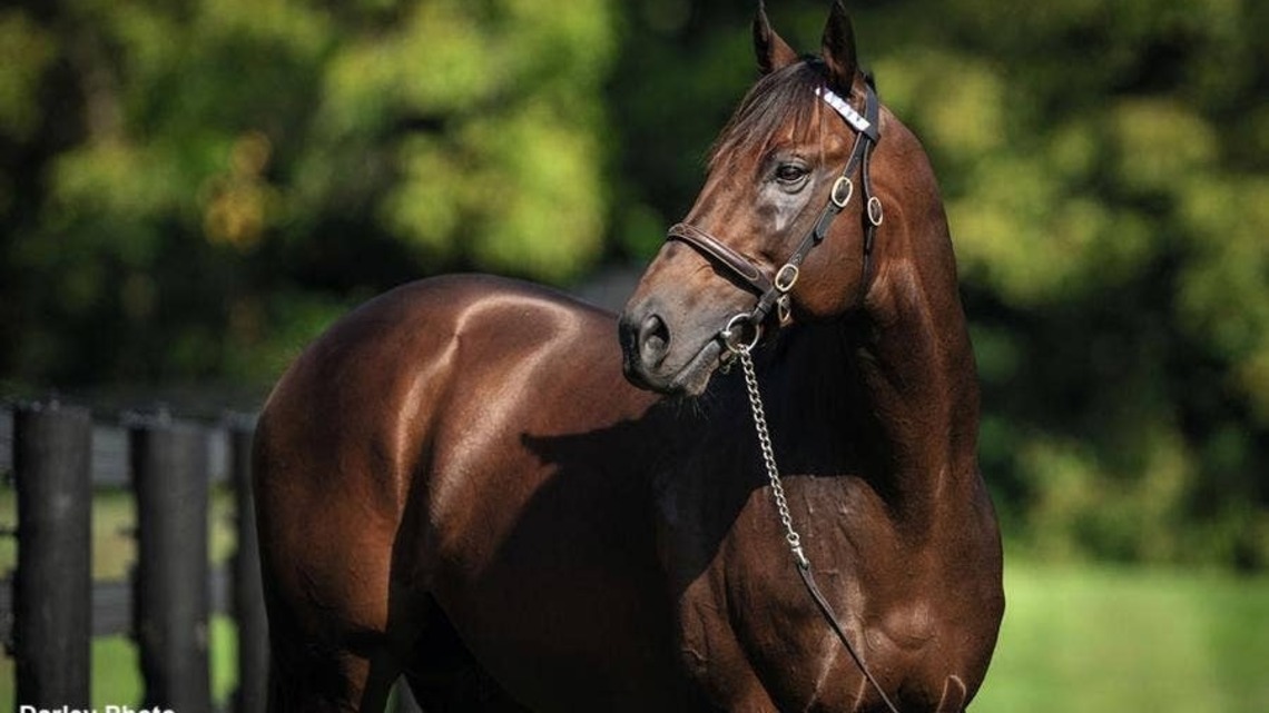 Nyquist Leads Darley America's 2027 Stallion Roster At $225,000 