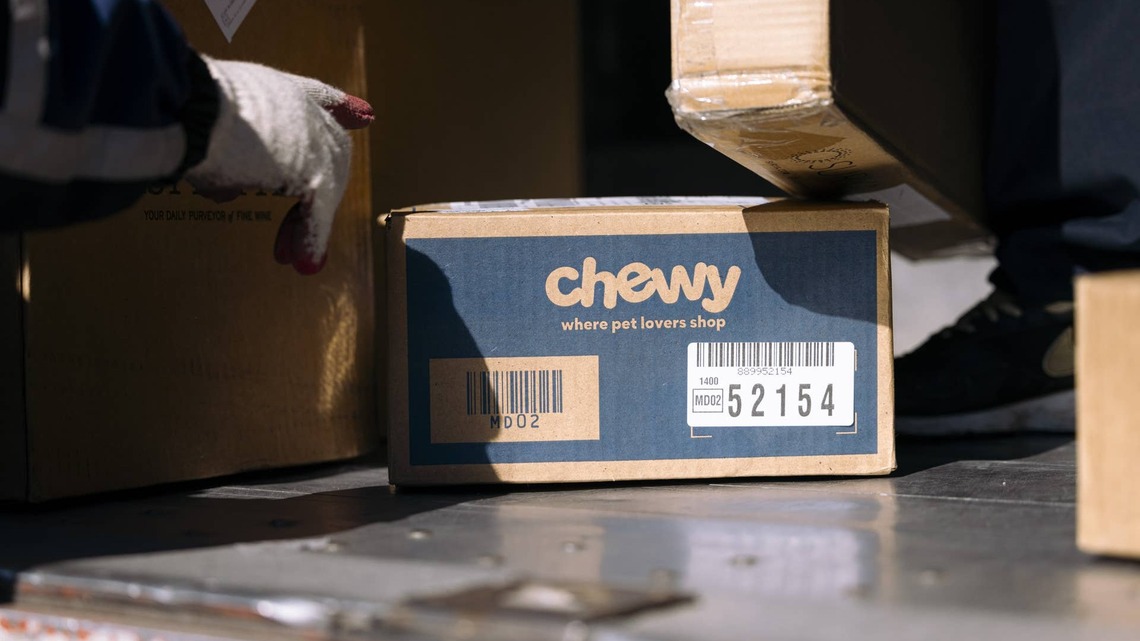 Chewy's Tiny Frog and Snail Cat Toys Glow in the Dark, and They're Ridiculously Cute 