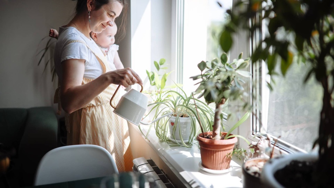 No Green Thumb? These Low-Maintenance Plants Thrive on Neglect