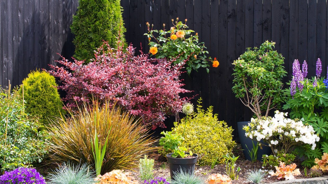 5 Herbaceous Perennials You Should Never Cut Back in Fall 