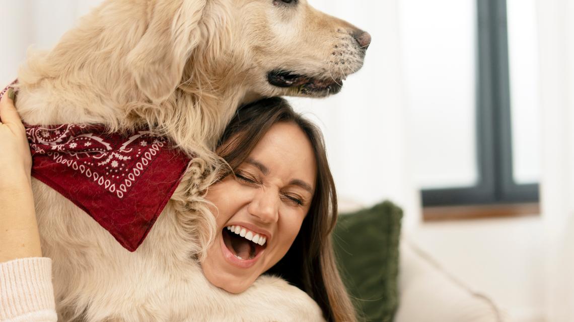 Golden Retriever Gives the Most Dramatic Greeting and We're Obsessed 