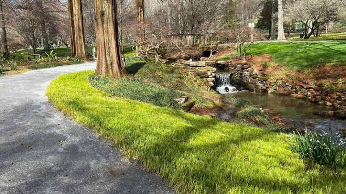 Discover Ball Ground, GA: Small-Town Charm with Big Personality 