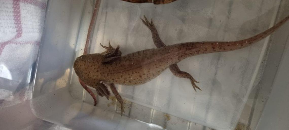  (Melanie Hill via SWNS) 