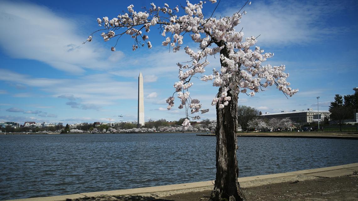 Trump's budget proposal for Interior seeks to make DC beautiful again