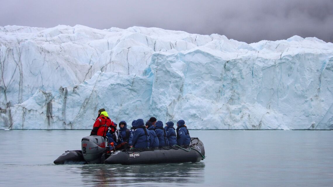 Foxes, hares and polar bears in the frozen wastelands of Greenland