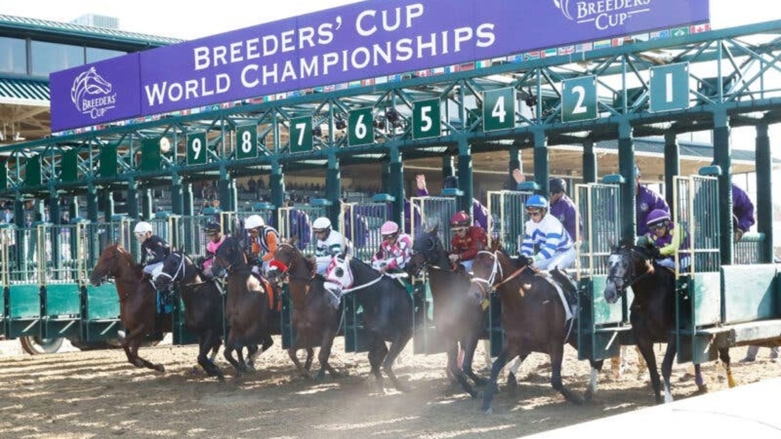 The Haiku Handicapper Presented By NYRA Bets: 2026 Breeders' Cup Juvenile 