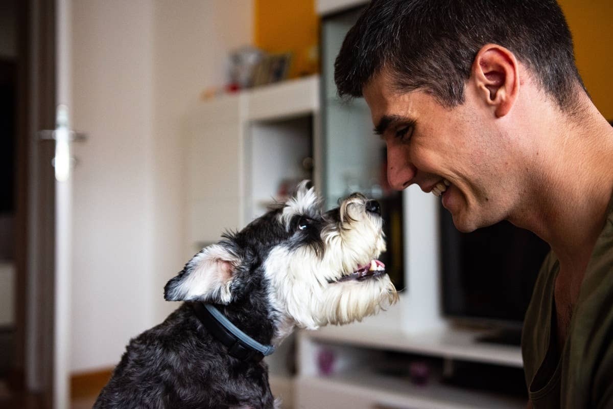  Young man playing with A dog gazing intro its pet parents eyes and bonding.