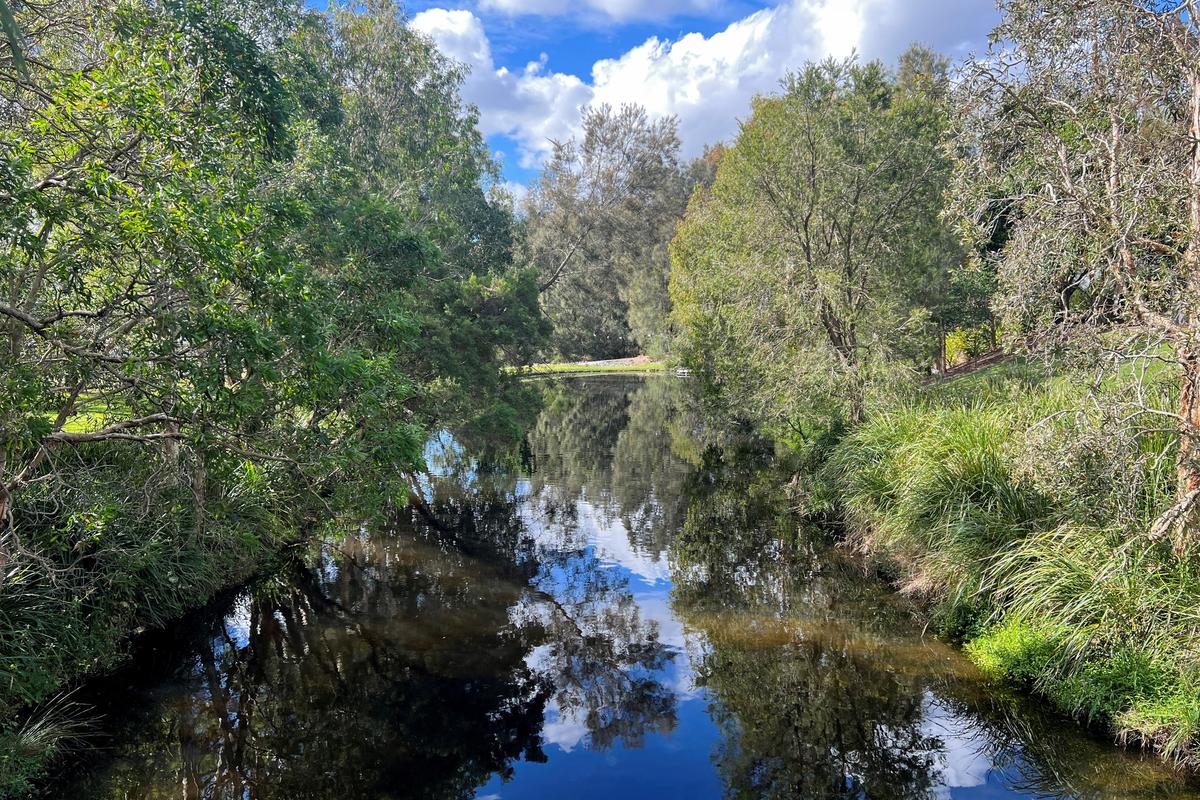 FILE PHOTO: A view of York's Hollow waterhole at the Victoria Park-Barrambin, where the main stadium will be built for the 2032 Olympics, in Brisbane, Australia July 21, 2025. REUTERS/Nick Mulvenney/File Photo