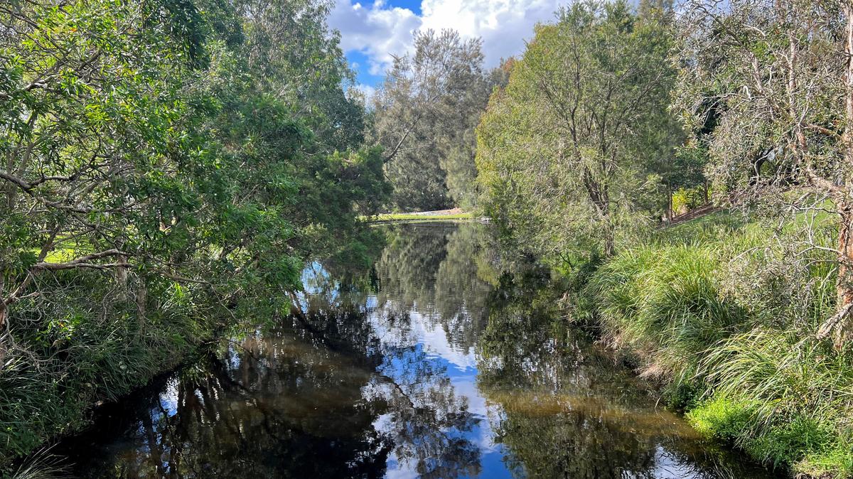 FILE PHOTO: A view of York's Hollow waterhole at the Victoria Park-Barrambin, where the main stadium will be built for the 2032 Olympics, in Brisbane, Australia July 21, 2025. REUTERS/Nick Mulvenney/File Photo