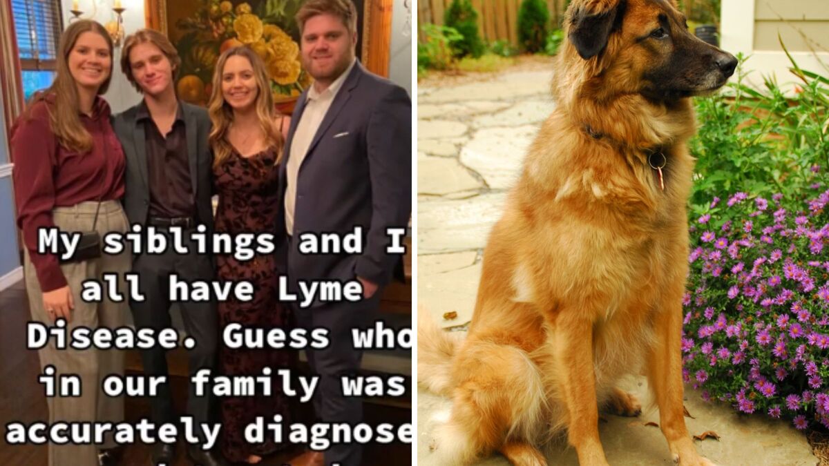 Photos of four siblings (left) and the family's dog (right) all of whom received the same diagnosis for Lyme Disease just at different times.