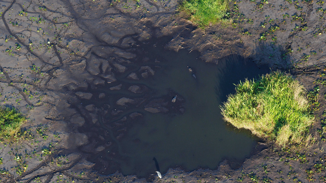 Extreme drought persists in parts of Miami-Dade, Broward