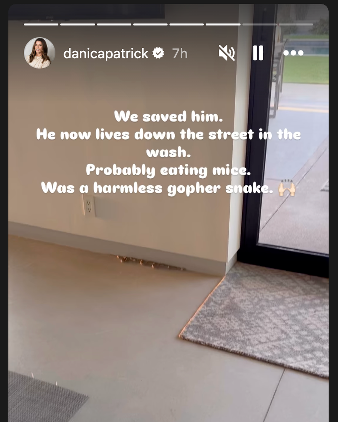  Danica Patrick snake photo. 