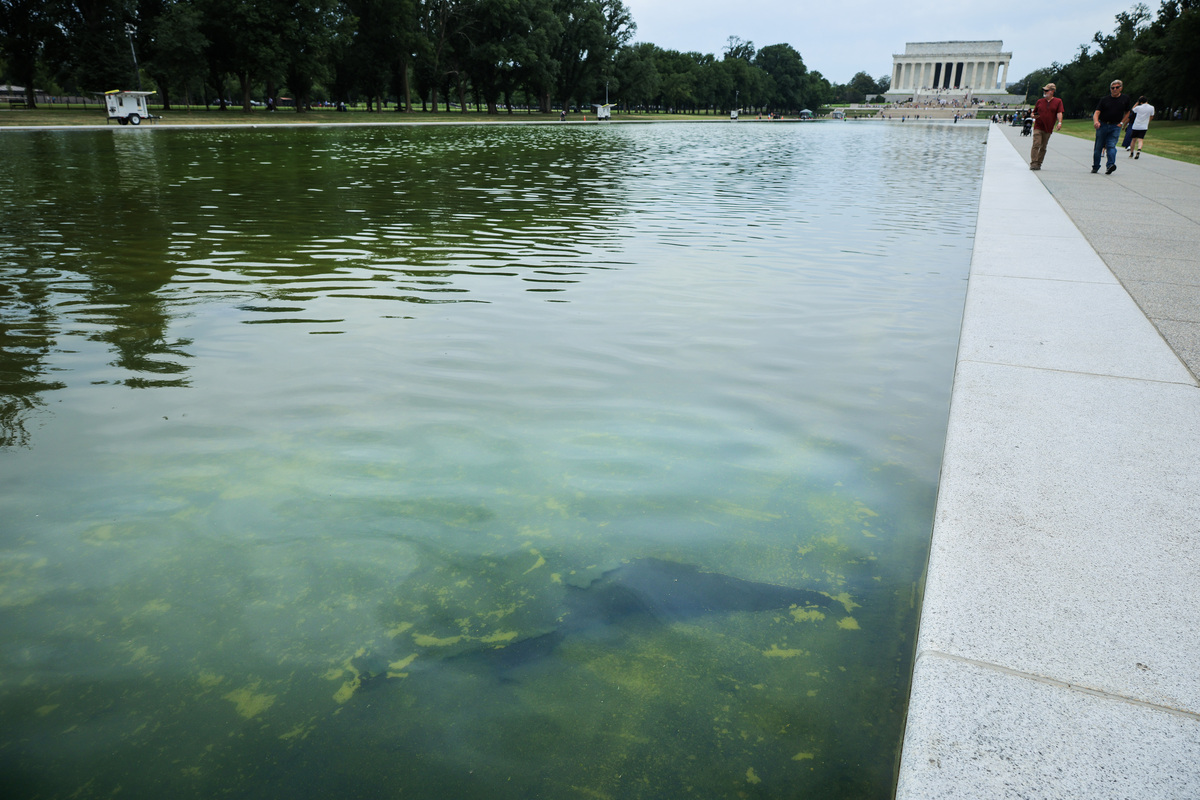 Seen through algae-laden green water, a tear in the recently applied sealant is visible on the bottom of the Lincoln Memorial Reflecting Pool on June 18, 2026.