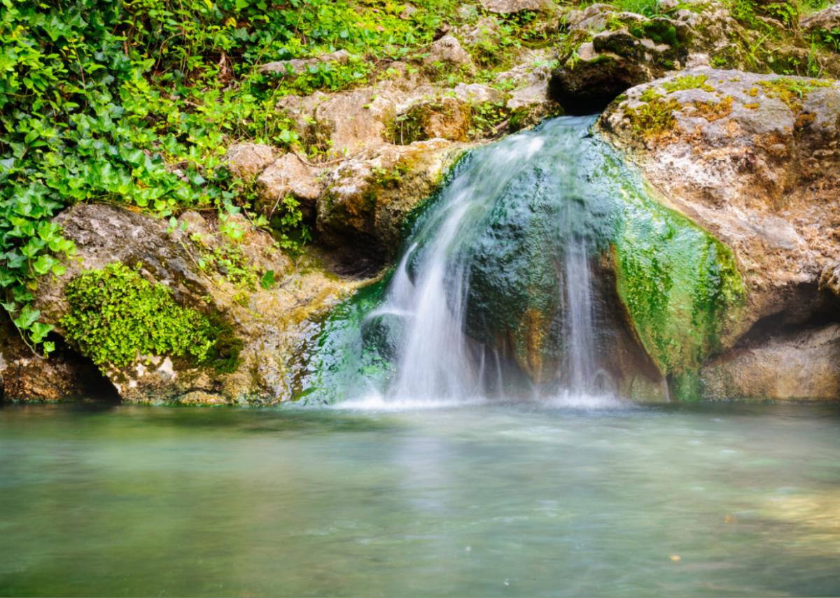  Zack Frank // Shutterstock 