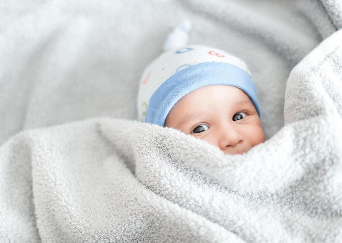  Serenko Natalia // Shutterstock 