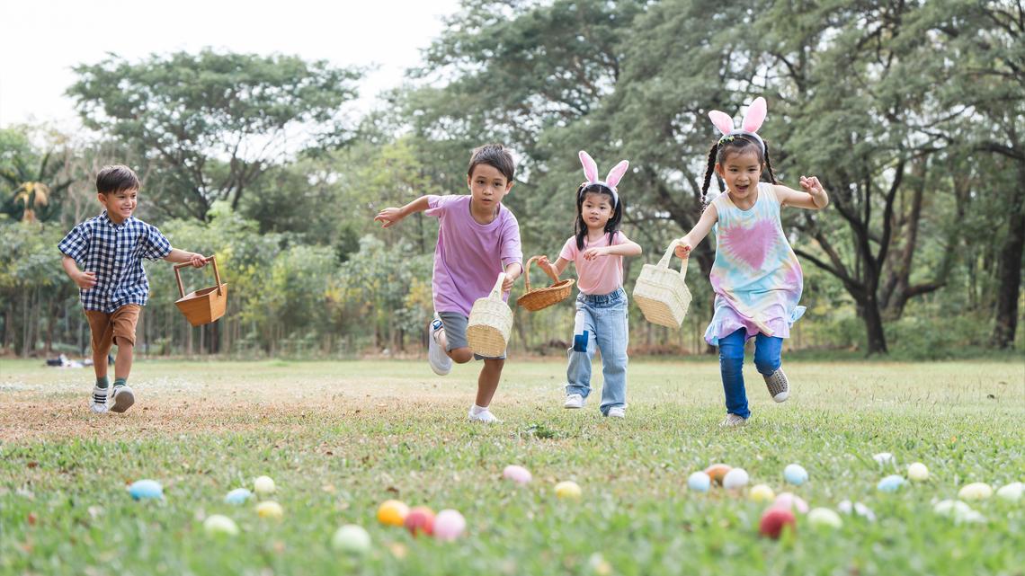 Shop for Easter Supplies in Bulk at Dollar Tree-Find Baskets, Candy and Toys at a Discount 