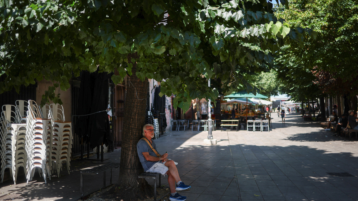 A man sits in the shade of a tree during a heatwave, in Rome, Italy, June 30, 2026. REUTERS/Guglielmo Mangiapane