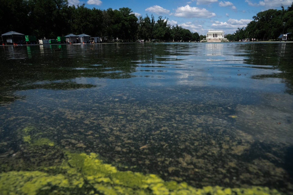  Crews clean up algae that began to grow in the Reflecting Pool days after the Trump administration's $14 million renovation project that repainted the surface "American Flag Blue" on Monday, June 15, 2026. 