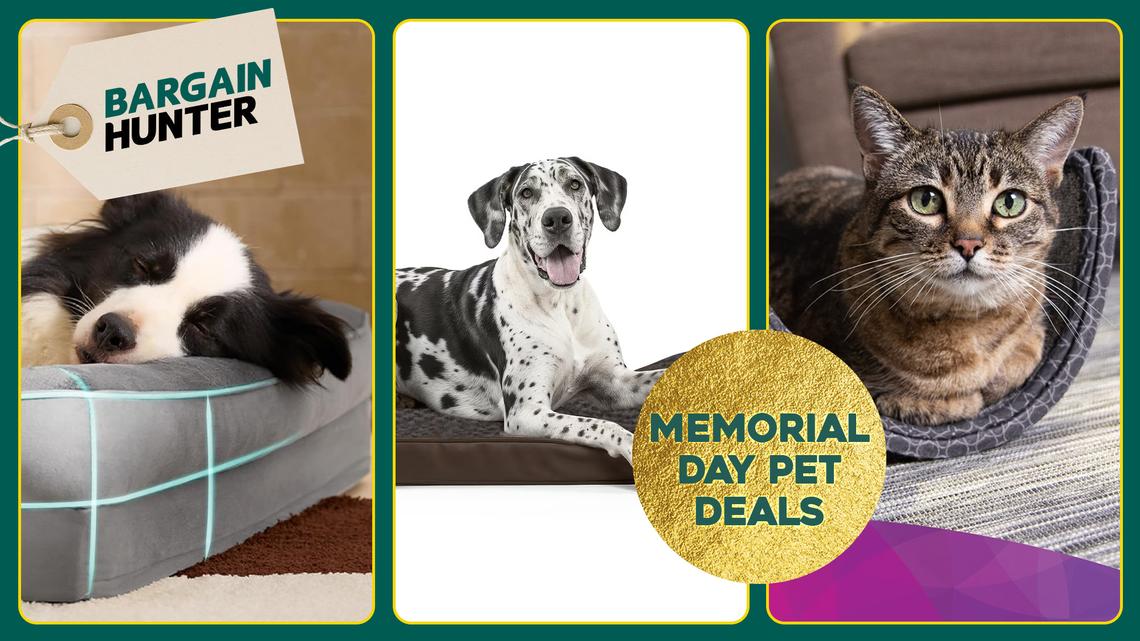 Best Early Memorial Day Pet Deals at Amazon, Chewy, Petco and More 