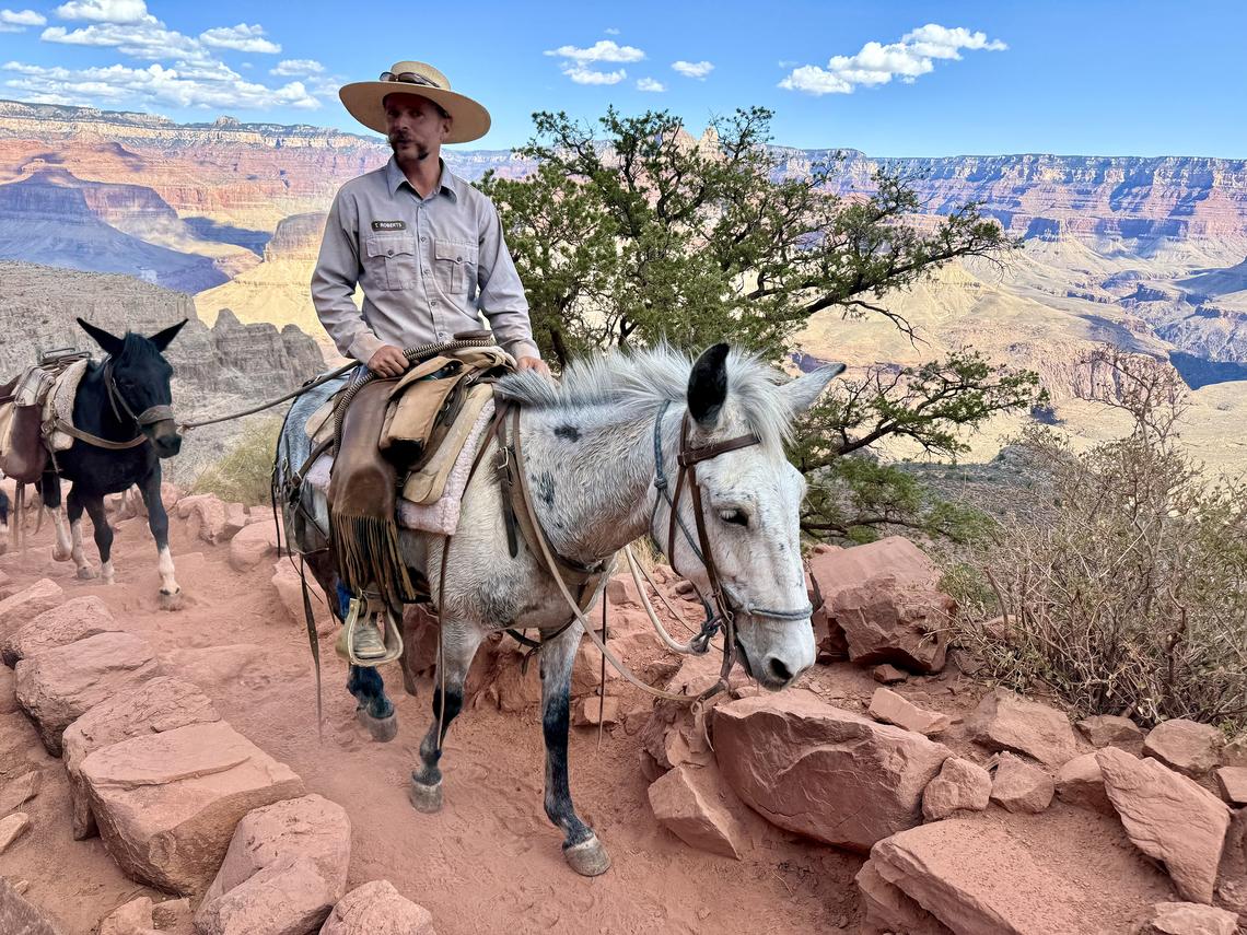 Lori Rackl/Lori Rackl/TNS