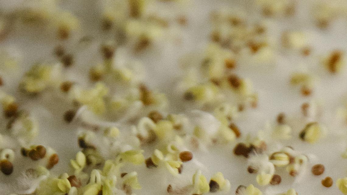 Vertical Farms Tried to Compete With Field Farming. It Isn't Going Well. 