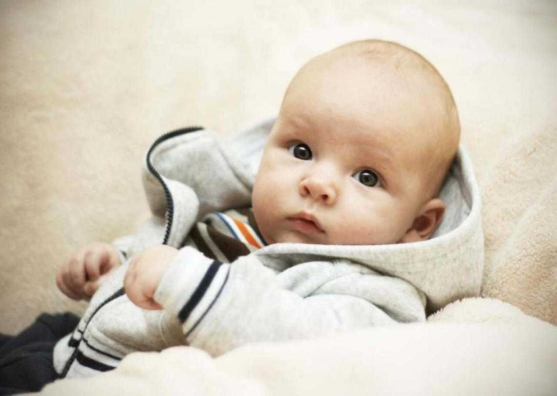  Irisska // Shutterstock 