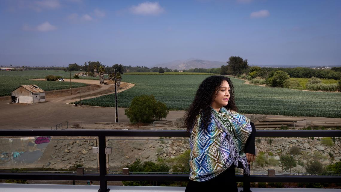 Those caught in Trump immigration dragnet seek millions for raids, shootings, trauma 