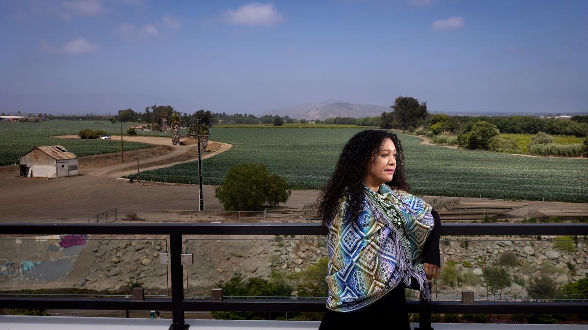 Vanessa Valdez is photographed in Oxnard, California on Friday, May 22, 2026. Valdez, a Ventura-based attorney, was hit with tear gas and six rubber bullets during the Glass House Farms raid last July. (Christina House/Los Angeles Times/TNS)