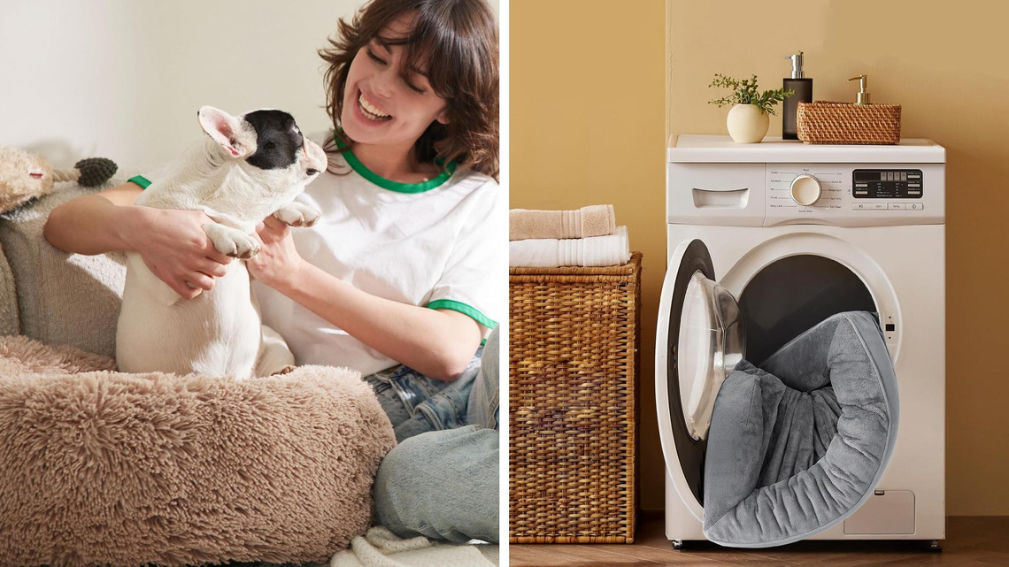 Best dog beds for seniors, anxious pups and hot sleepers in 2026 