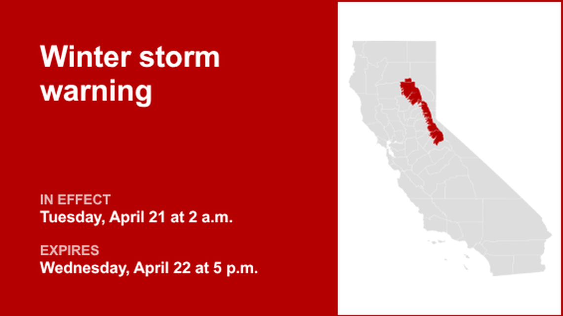 unitedrobots photography