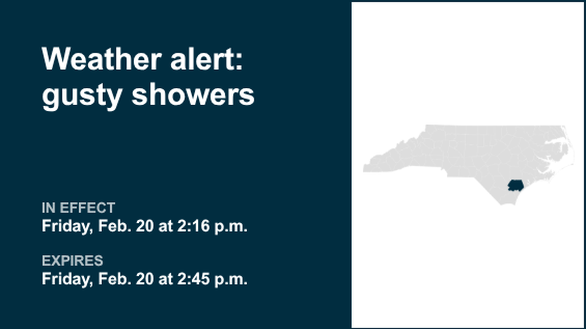 Look for gusty showers in Inland Pender Friday afternoon - winds gusting up to 40 mph 