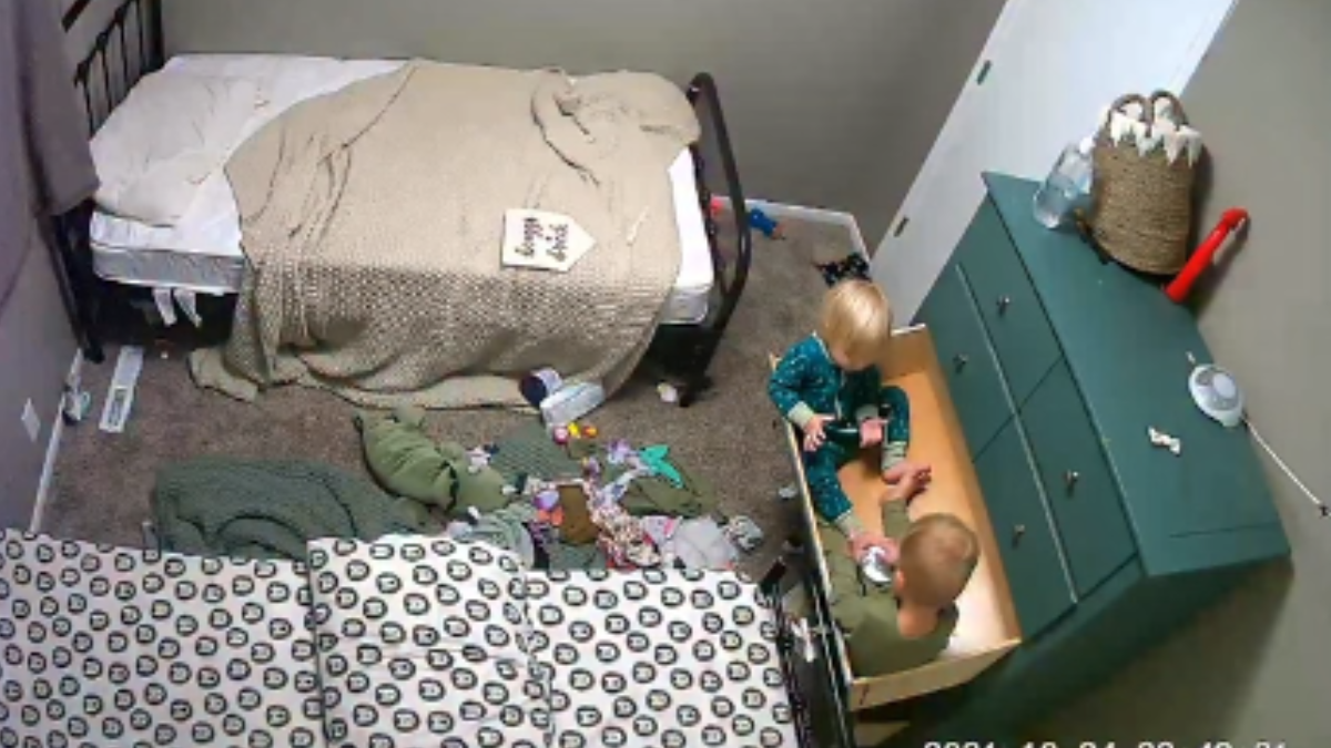 Taylor Pane's twins Briggs and Breck.
