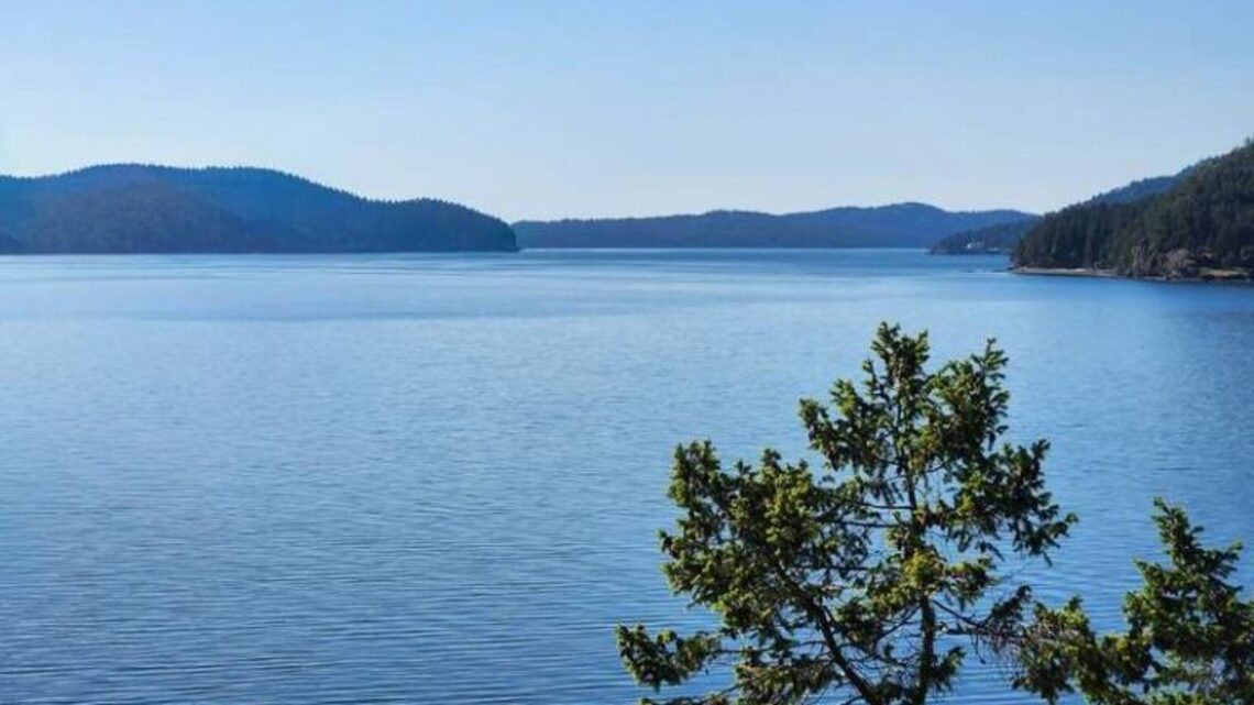 Ultimate San Juan Islands Girl's Getaway Guide: Scenic Byway Road Trip, Best Eats and Top Things to Do 