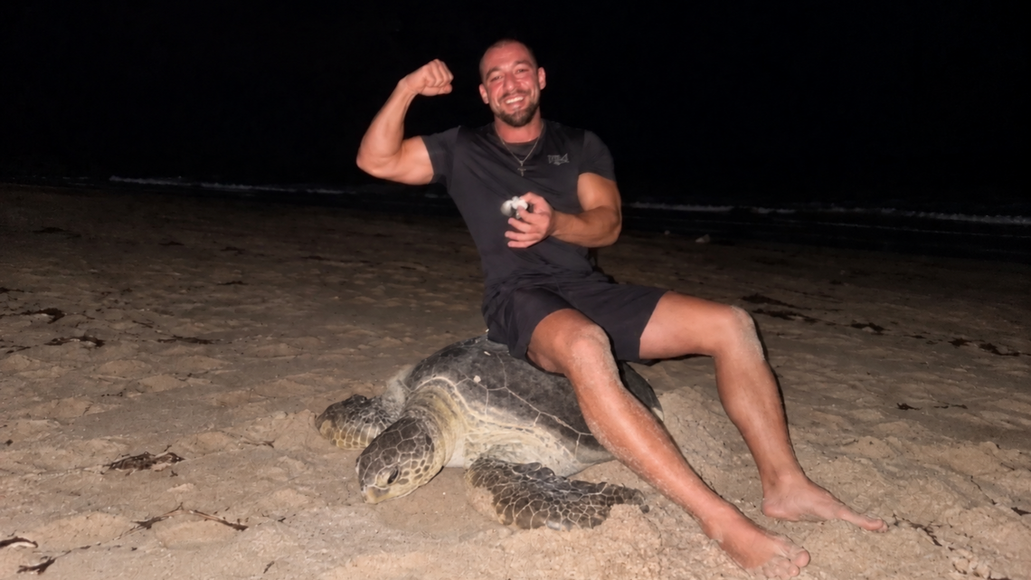 Influencer Sits on Nesting Sea Turtle at Oman Sanctuary, Sparks Global Backlash (Video) 