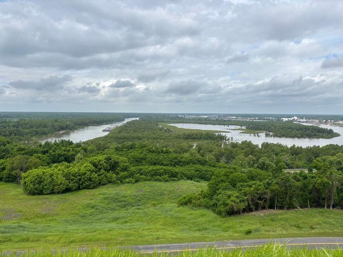  Hilltop battlefield in Vicksburg National Military Park. Photo credit: Judy Antell 