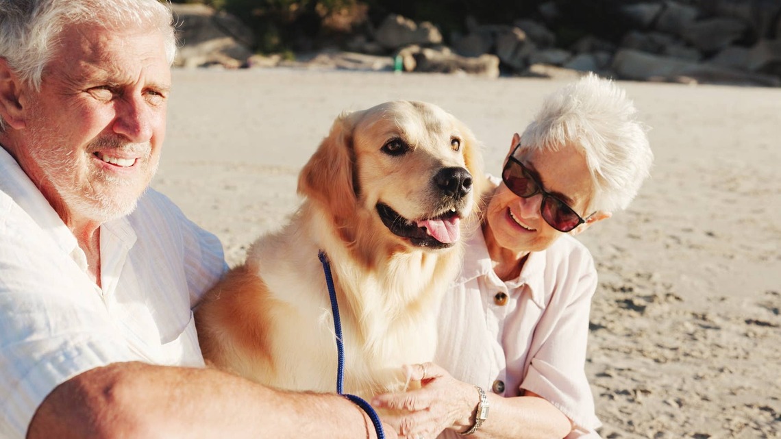 This Viral Video of Dogs Being Dropped Off at Their Grandparents' Is the Most Millennial Thing We've Ever Seen 