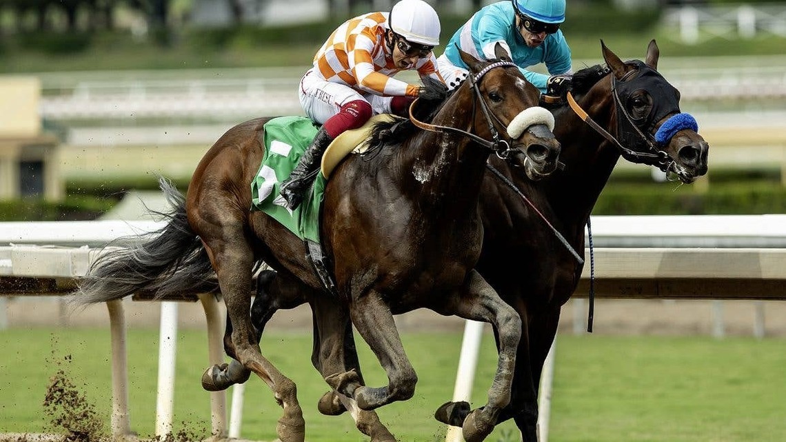 Mr. A. P. Returns To Dirt, Battles Elders In Goodwood Stakes 