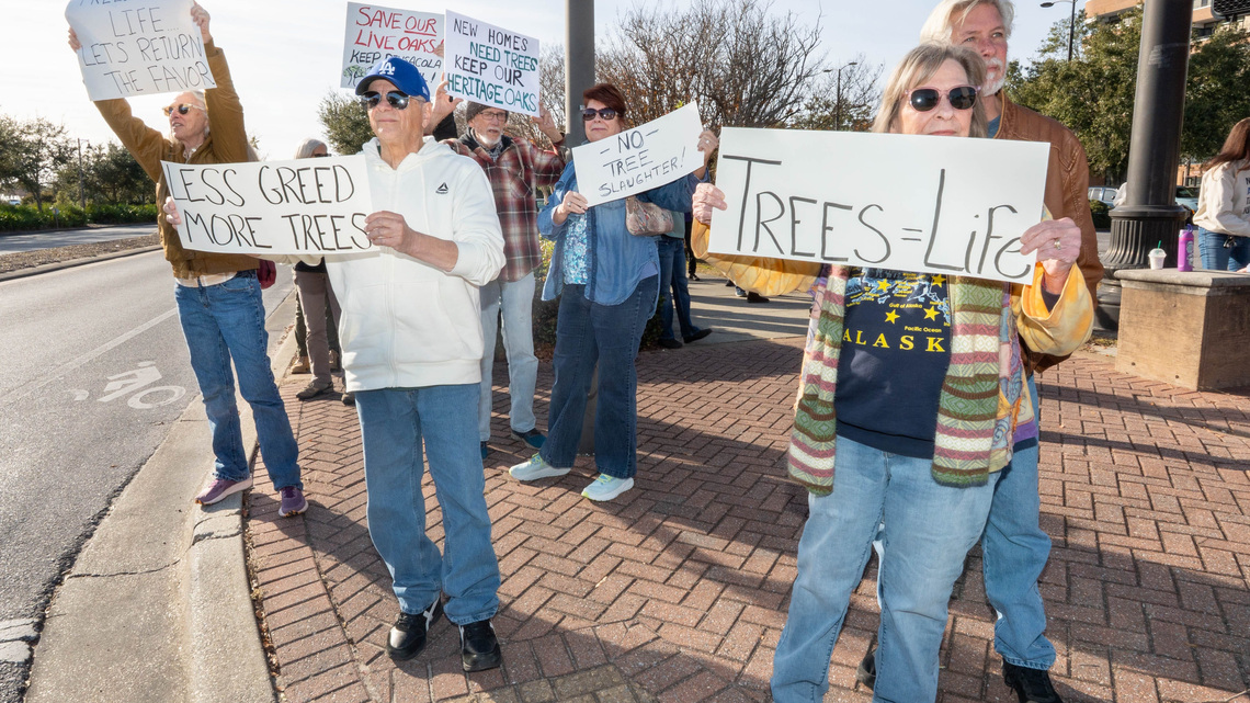 Pensacola's new codes don't add tree protections. Staff says that comes later