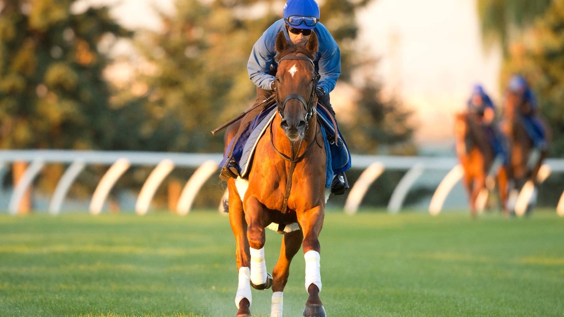 Champion Notable Speech Aims To Defend Woodbine Mile Title 