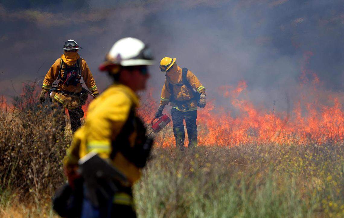 Firefighters from Alameda County take part in a prescribed burn and training session at Shadow Cliffs Regional Recreation Area in Pleasanton on June 11, 2025.