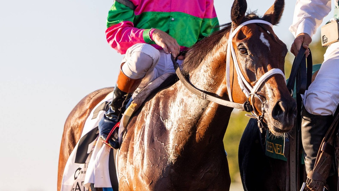 ‘A Surprise That Dropped Out Of The Sky': Former Bad Boy Agate A Homebred Breeders' Cup Hope 