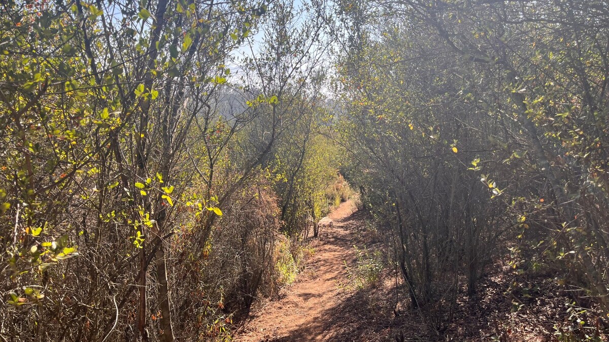 Suncrest Ecological Reserve offers several different trails, including one that leads to views of San Diego County. (Maura Fox / The San Diego Union-Tribune)