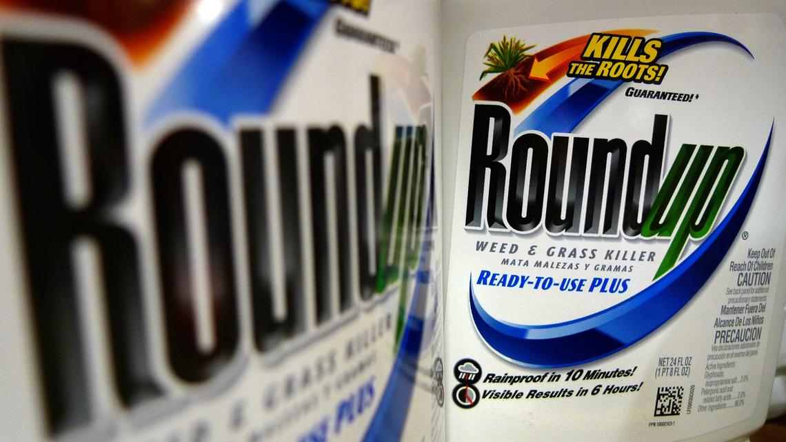 Bayer. File photo: bottles of Roundup herbicide, a product of Bayer, are displayed on a store shelf. 