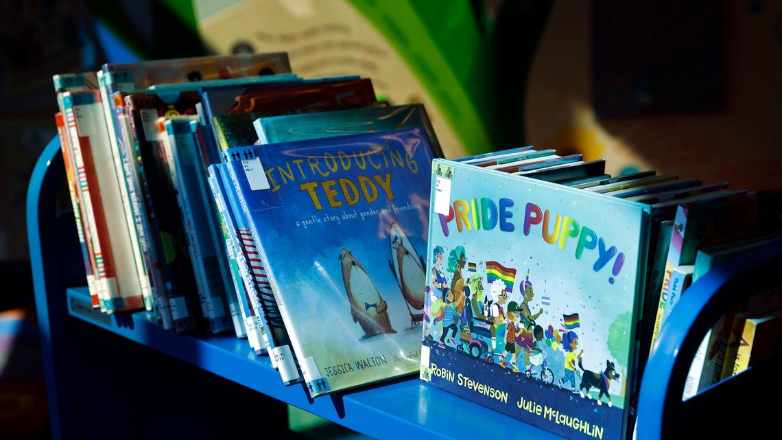 DOGE cuts to humanities threaten Tri-Cities cultural programs and democracy | Opinion