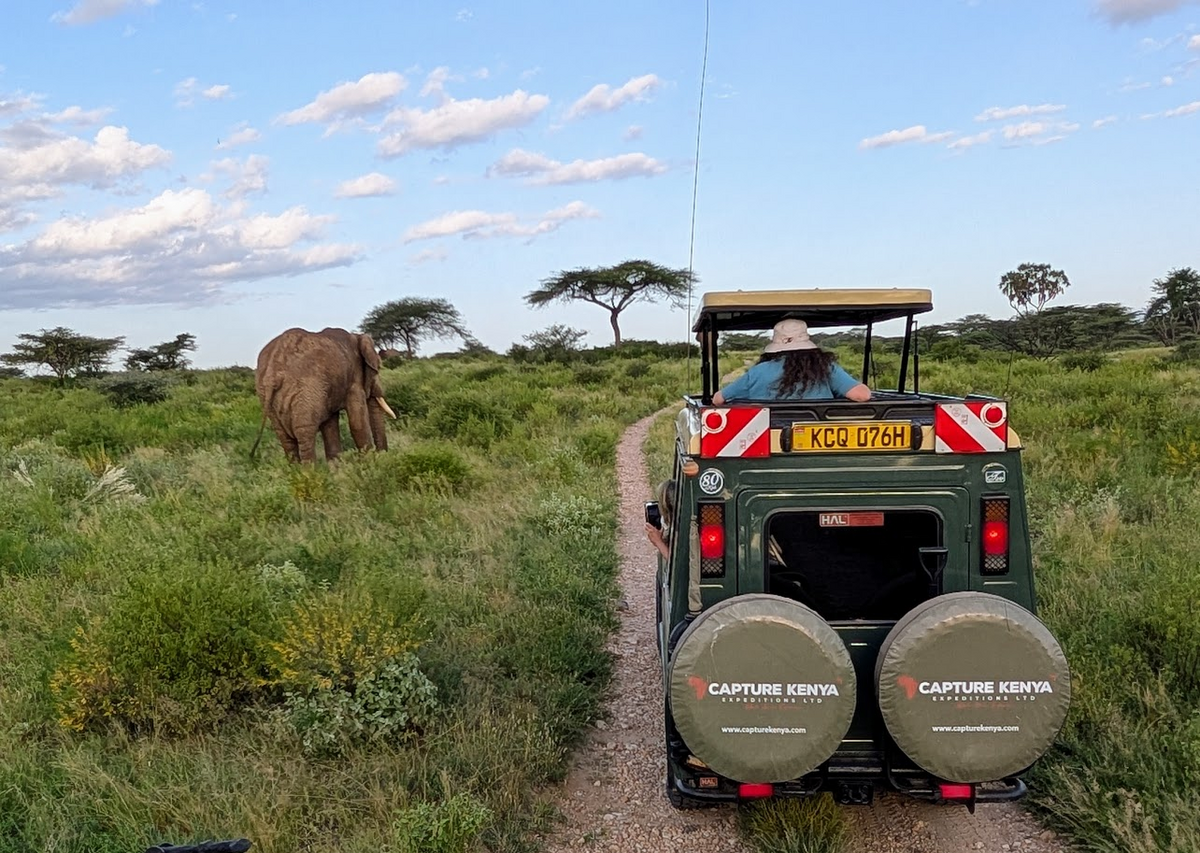 You'll spend a lot of time riding safely inside your safari vehicle. Photo credit: Cindy Richards