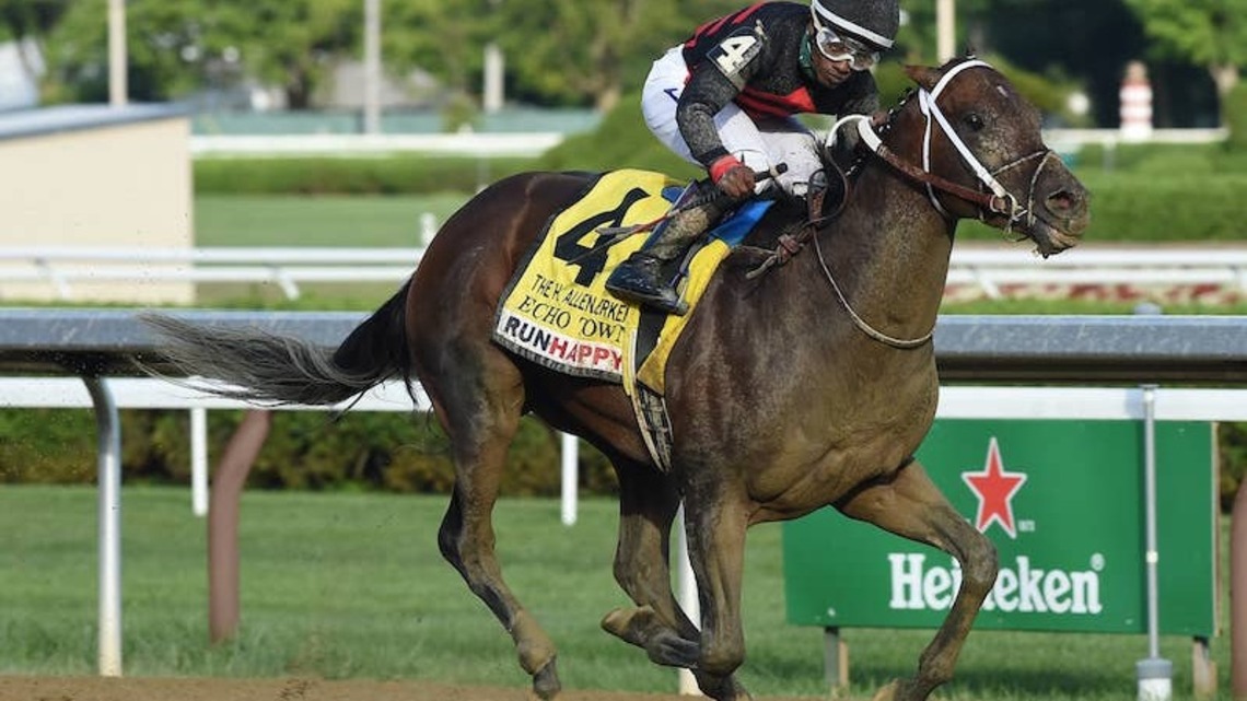 Grade 1 Winner Echo Town Sold To Stand In Iran 