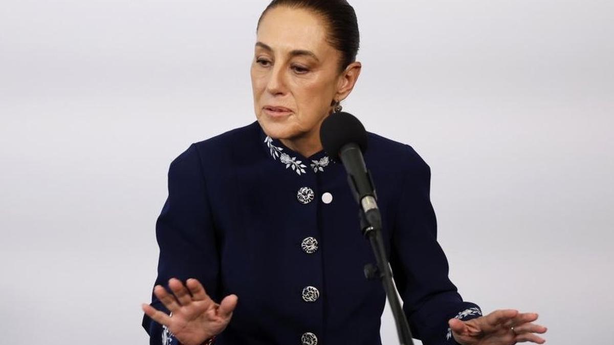 Mexican President Claudia Sheinbaum said she wants an explanation about the unauthorized participation of U.S. agents in field operations on Mexican territory.