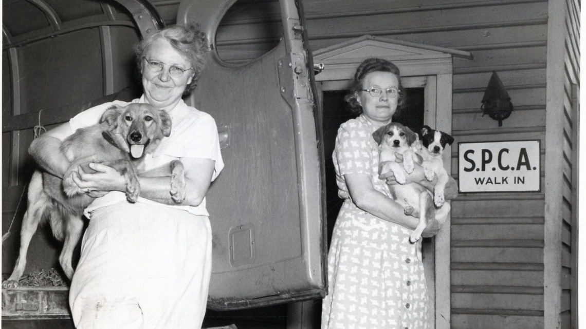 York County SPCA was created 100 years ago after a shocking act