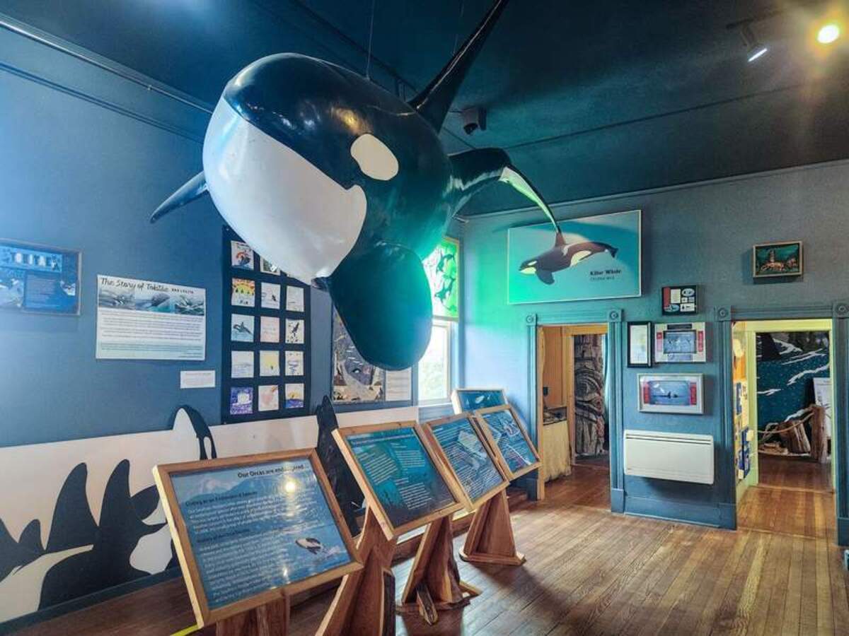  The Whale Museum in downtown Friday Harbor focuses on local whales, from orcas to gray whales. Photo credit: June Russell-Chamberlin 