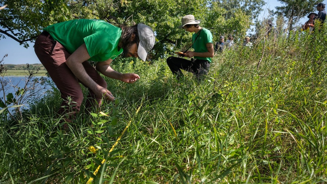 To bring a prairie back to life, burn it 
